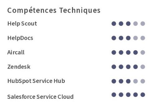 abilități pentru un CV în franceză